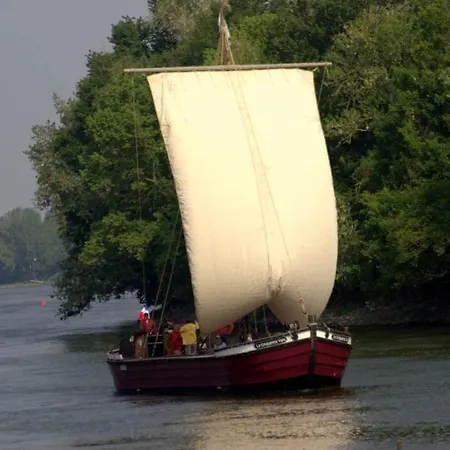 Les Orkys De Loire 3*