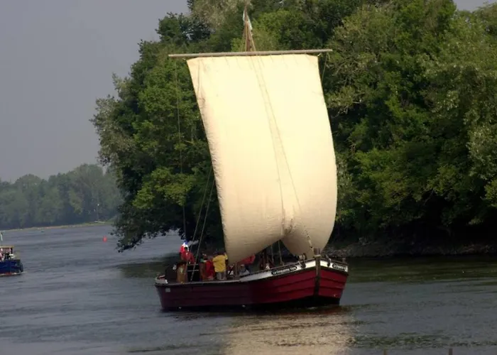 Les Orkys De Loire 3*